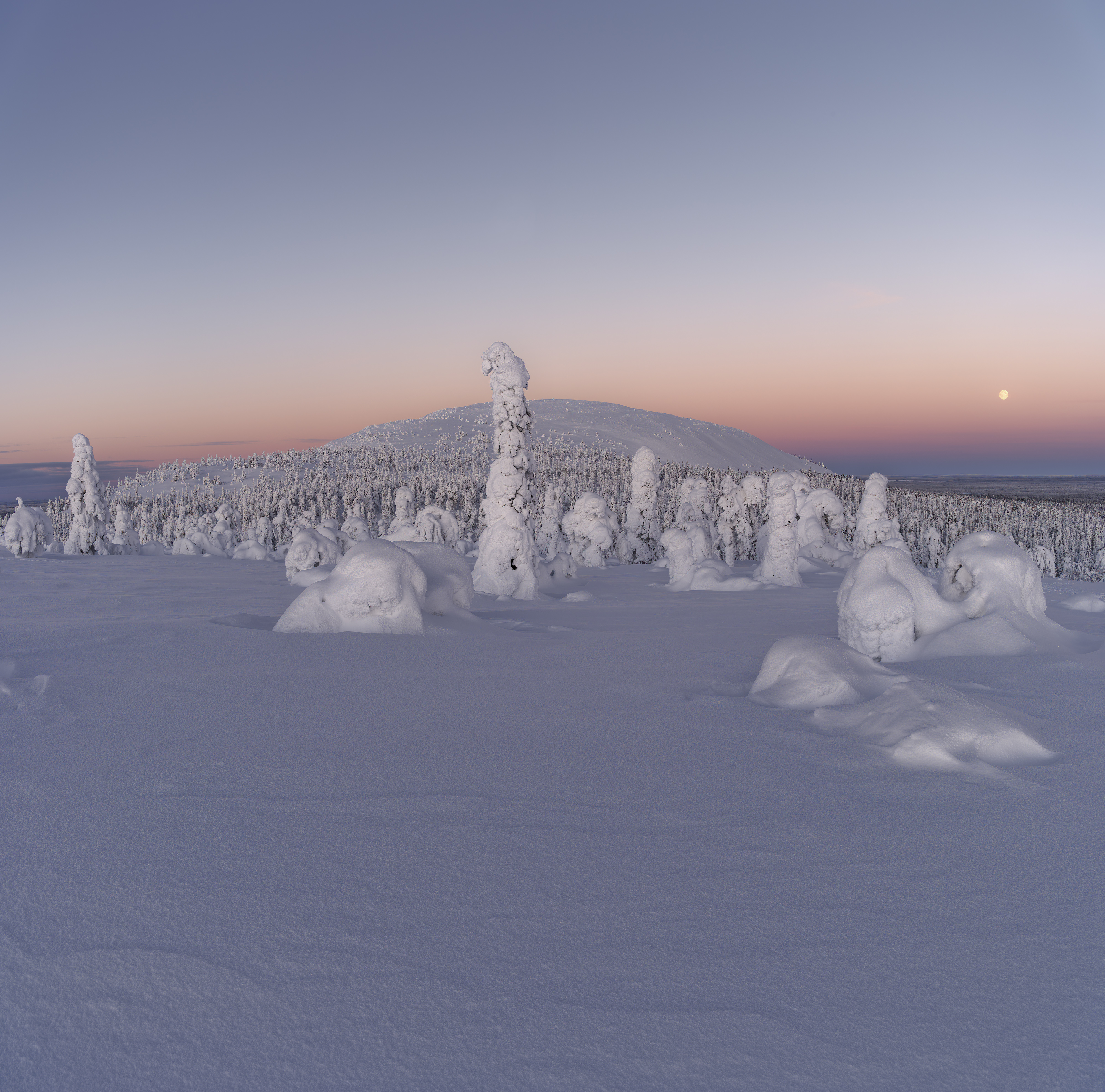 Finnland - Wintertraum!